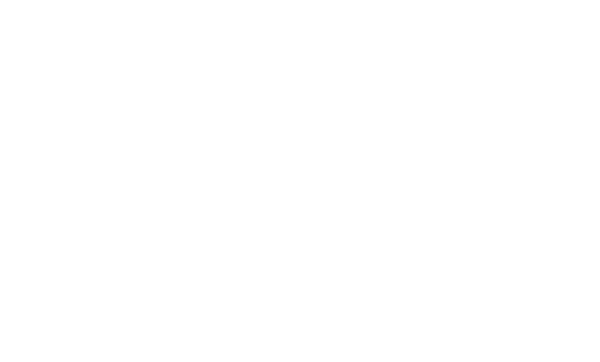 Air Hotel 